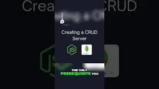 MongoDB & Express Build a CRUD Server  