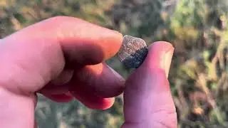 Разведка с металлоискателем XP DEUS 2