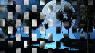 Bob Marley-Everything´s Gonna be Allright