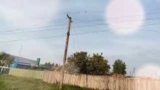 Елдәй осоп ҡайтам тыуған-үҫкән яғыма