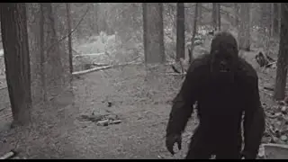 New BONE-CHILLING Crystal Clear BIGFOOT Footage is SHOCKING The World!! Watch Before It's REMOVED!!