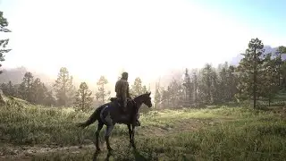 Red Dead Redemption 2 - Nvidia GeForce RTX 4090 Max Graphics 4K