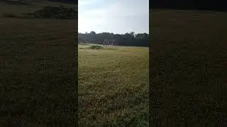 Mornings in Maine-Field after Sunrise