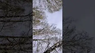 Где она ? Кто видел ?