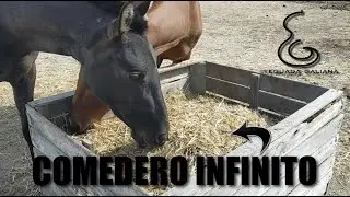 CÓMO HACER QUE LA COMIDA DURE MÁS - SLOWFEEDER