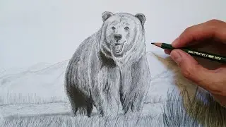 Cómo dibujar un oso grizzly realista paso a paso (FÁCIL) 🐻