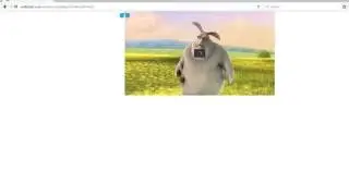 Firefox Fullscreen Flash crash