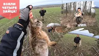 Охота на зайца с Дратхааром! Сезон охоты 2021-2022!