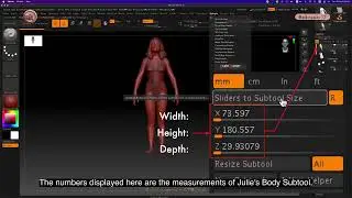 ZB_18.05 | How to check the measurements of 1 subtool using Scale Master.