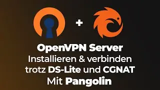 Mit Pangolin funktioniert OpenVPN trotz DS-Lite und CGNAT einwandfrei! So einfach gehts!