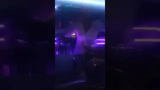 Leyla  -  Tallava Zvicer     2021