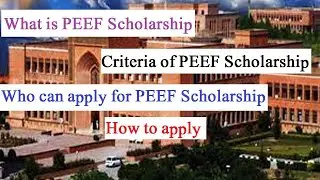 Scholarship | Punjab Educational Endowment fund | PEEF scholarship | Eligibility Criteria of PEEF