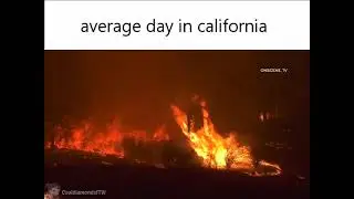 United States slander