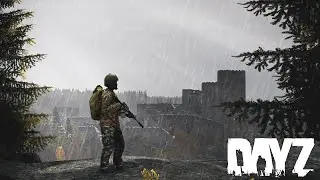 Risky Business - DayZ