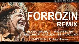 FORROZIN  REMIX