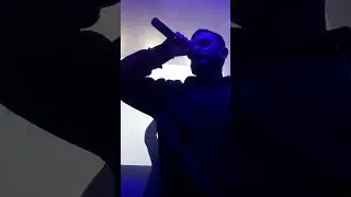 JANAGA - без повода