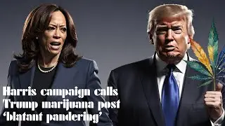 Harris SLAMS Trump’s Marijuana Post as BLATANT PANDERING!