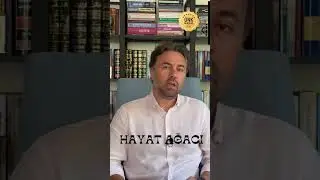 Hayat Ağacı