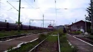 Delfinu 783 cu A1745