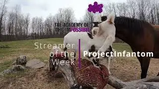 Streamer of the Week: ProjectInfantom