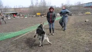 ВЕО Защита