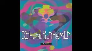 Echo & The Bunnymen   King Of Your Castle
