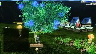 Archeage 30 Merit badge Mineral Archeum Tree