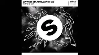 Vintage Culture, Fancy Inc - In the Dark