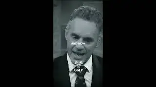 Best Jordan Peterson Clips (Part 4)