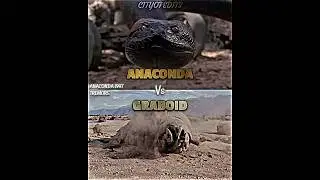 Graboid vs Anaconda 