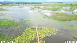 Efteni Gölü - Toptepe Seyir Terası (drone çekimi) DÜZCE