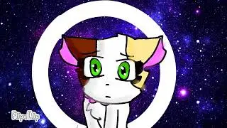Super cat tales 2||Blood in the water meme