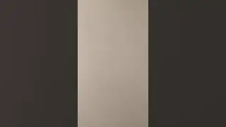 14 ноября 2020 г.