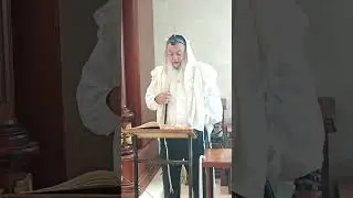הלכה יומית