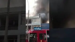 Мужчина СПАС собак от огня