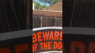 BEWARE OF THE DOG