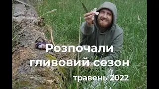 ВЕСНЯНІ ГРИБИ. ГЛИВИ, ТРУТОВИК СІРЧАНО-ЖОВТИЙ, ДУБОВИК, ЧАСНИЧНИК.