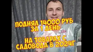 Купил на Садоводе оптом в 2024 г. Продал в розницу в Москве в интернет магазине 14000 рублей в день.