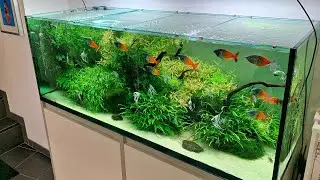 Beautiful German Aquascape and Pond Store - Zoo Flottman - Full Tour