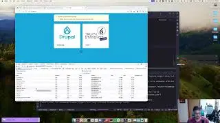 Hacking on Drupal Starshot trial experience in WebAssembly