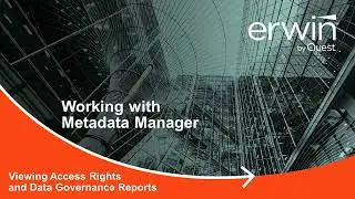 Metadata Manager Viewing Access Rights and DG Reports v12