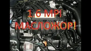 1.6 BSE. Борьба с масложором.