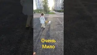 Мило очень!! #russia #saintpetersburgrussia #stpetersburg #2024 #india #россия #индусвроссии #viral