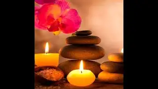 Calming music | Stress Free Music Channel