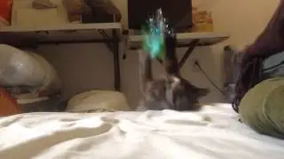Beelzebub kitty oops!