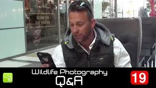 Wildlife Photography Q&A - Episode 19