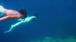 Gök Mavide,Mavi Denizde,Biz Teknede Güvenle Tatile! Mavi Yolculuk Tekne Turları Tura Turizm'de!