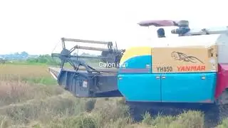 Mesin Panen Padi YANMAR YH 850#452