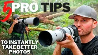 5 PRO Tips To INSTANTLY Take BETTER Photos with ANY Camera!