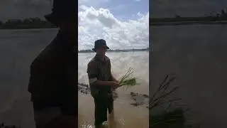 keluhan petani part 1